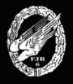 6th Fallschmirjager Regiment of Washington