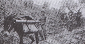 Mortars by mules