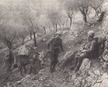 An Italian soldier with pack mule near Venafro.