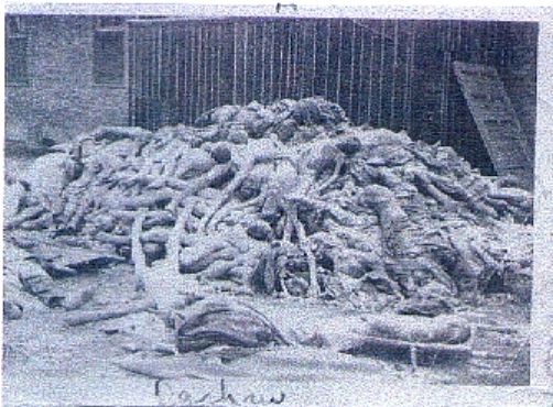 Dachau dead