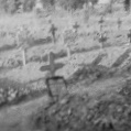 German Graves near Nettuno, Italy