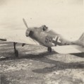 Lewis Long , FW 190 German plane