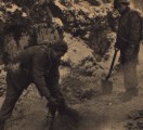 120th Engineers work in the Vosge Mountains.