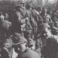 Many German POW's bagged near Grenoble, France.
