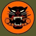645th Tank Destroyer patch 45th Infantry Division