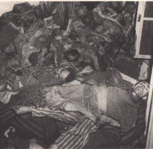 Dachau corpses