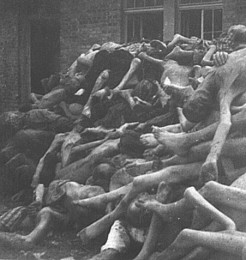 Dead Bodies at Dachau