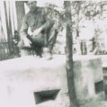 Larry Bumpas, Siegfried line, Germany