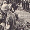 German POWs Captured by the 45th ID