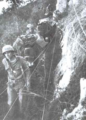 mule train